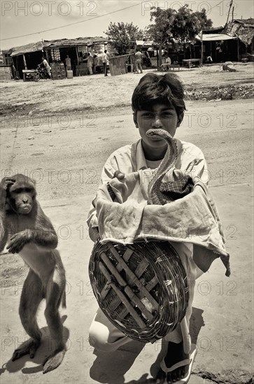 Young Man With Cobra and Monkey, Agra, India