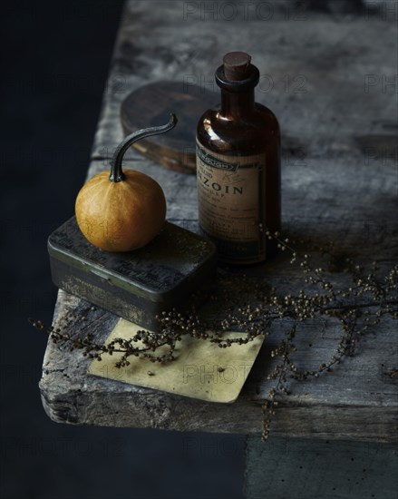 Autumn Still Life with Pumpkin