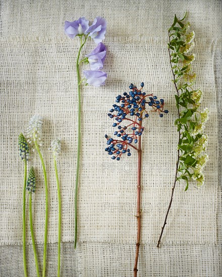 Wildflower Stems on Gauze Fabric