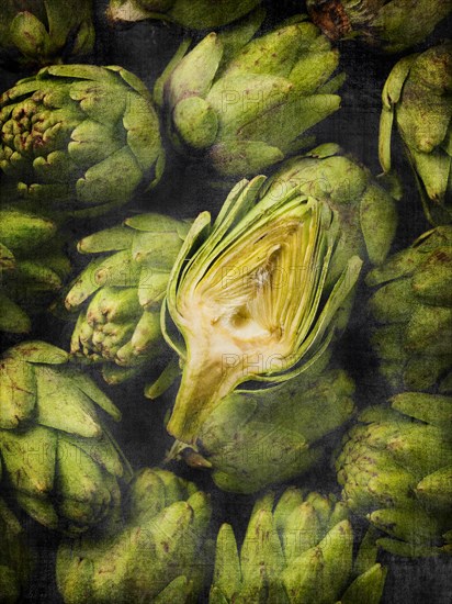 Artichokes, Close-Up