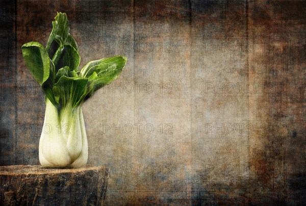 Baby Bok Choy on Wood Stump