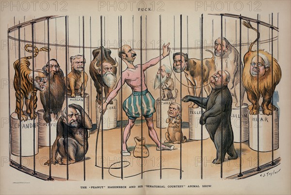 Political Cartoon Featuring U.S. Senator and for New York Governor David B. Hill, The "peanut" Hagenbeck and his "Senatorial Courtesy" Animal Show, drawing by Charles Jay Taylor, Lithograph by J. Ottoman Lith. Co., Puck Magazine, Keppler & Schwarzmann, February 7, 1894