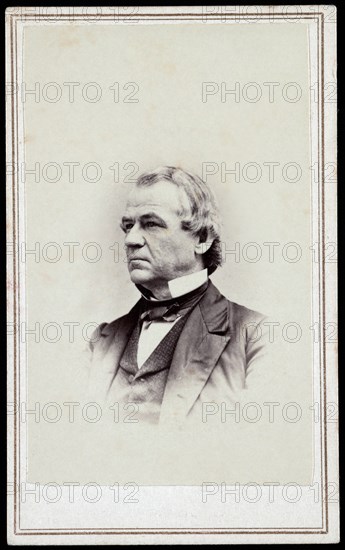 Andrew Johnson (1808-75), 17th President of the United States, Head and Shoulders Portrait