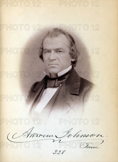 Andrew Johnson, Senator from Tennessee, Thirty-fifth Congress, Head and Shoulders Portrait, Photograph by Julian Vannerson, 1859