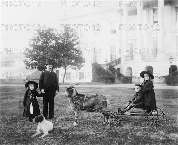 Major Russell Harrison, son of U.S. President Benjamin Harrison, with his daughter Marthena and nephew and niece (Benjamin "Baby" and Mary McKee) on a cart pulled by the presidential pet goat "Whiskers" at the White House, Washington DC, USA, Photograph by Francis Benjamin Johnston between 1889 and 1893