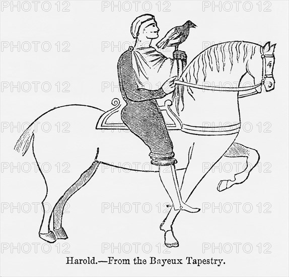 Harold, from the Bayeux Tapestry, Harold II Riding on Horse with Hawk Perched on his Hand, Illustration from John Cassell's Illustrated History of England, Vol. I from the earliest period to the reign of Edward the Fourth, Cassell, Petter and Galpin, 1857