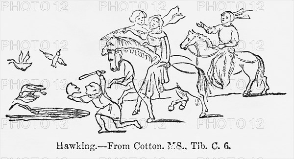 Hawking, from Cotton, MS., Tib. C. 6, Group of Men during the Sport of Hawking, Training Hawks to Catch other Birds, Illustration from John Cassell's Illustrated History of England, Vol. I from the earliest period to the reign of Edward the Fourth, Cassell, Petter and Galpin, 1857
