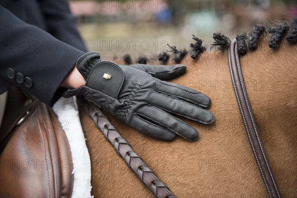 Competitive Rider with Hand on Horse's Mane
