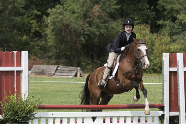 Teenage Girl Competitive Rider on Horse Jumping at Show