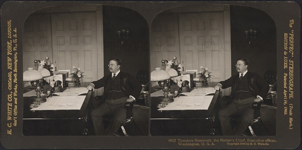 Theodore Roosevelt, the Nation's Chief, Executive Offices, Washington, USA, Stereo Card, H.C. White Co., 1908
