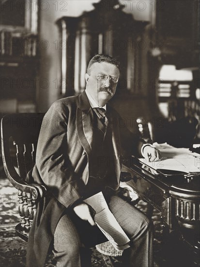 Theodore Roosevelt (1858-1919) 26th President of the United States 1901-09, Three-Quarter Length Portrait, Photograph by Barnett McFee Clinedinst, May 17, 1902