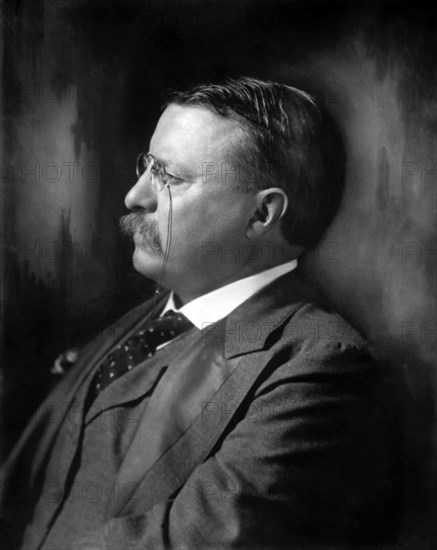 Theodore Roosevelt (1858-1919) 26th President of the United States 1901-09, Head and Shoulders Profile Portrait, Harris & Ewing, 1907