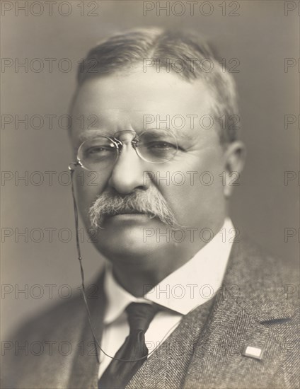 Theodore Roosevelt (1858-1919), 26th President of the United States 1901-09, Head and Shoulders Portrait, Baker's Art Gallery, 1918