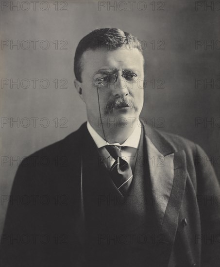 Theodore Roosevelt (1858-1919), 26th President of the United States 1901-09, Head and Shoulders Portrait, Photograph by M.P. Rice, 1902