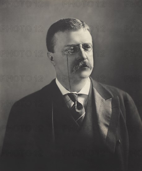 Theodore Roosevelt (1858-1919), 26th President of the United States 1901-09, Head and Shoulders Portrait, Photograph by M.P. Rice, 1902