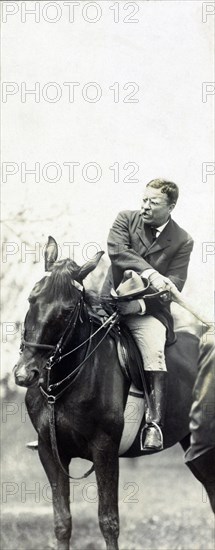 U.S. President Theodore Roosevelt on Horseback Shaking Hands with Unidentified Person, Washington, D.C., USA, Photograph by Barnett McFee Clinedinst, June 22, 1908