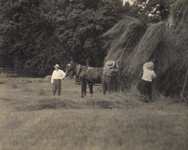 U.S. President Theodore Roosevelt with Two Men Pitching Hay onto Horse-Drawn Cart, 1905