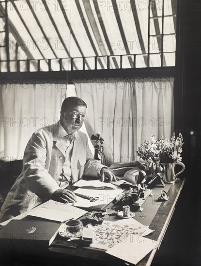 Theodore Roosevelt (1858-1919), 26th President of the United States 1901-09, Half-Length Portrait Seated at Desk, 1905