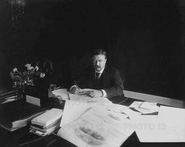 Theodore Roosevelt (1858-1919), 26th President of the United States 1901-09, Seated Portrait at Desk Looking Up, Photograph by Waldon Fawcett, 1903