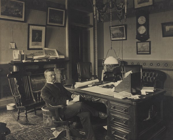 Theodore Roosevelt (1858-1919), 26th President of the United States 1901-09, Seated Portrait at Desk, 1905