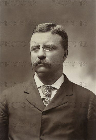 Theodore Roosevelt (1858-1919), 26th President of the United States 1901-09, Head and Shoulders Portrait as New York Governor, Photograph by George Prince, 1900