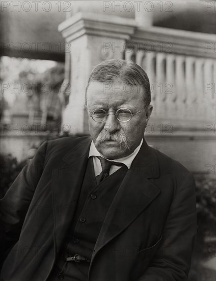 Former U.S. President Theodore Roosevelt, Half-Length Portrait, Photograph by Underwood & Underwood, 1916