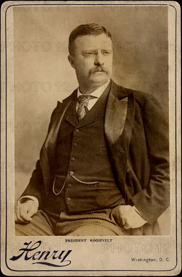 Theodore Roosevelt (1858-1919), 26th President of the United States 1901-09, Half-Length Seated Portrait, Photograph by Henry, Washington, D.C. 1902
