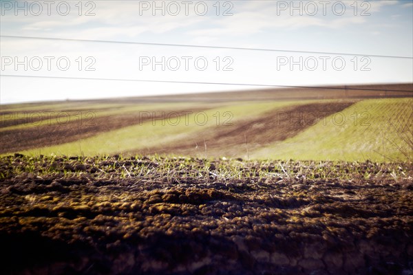 Agricultural Landscape