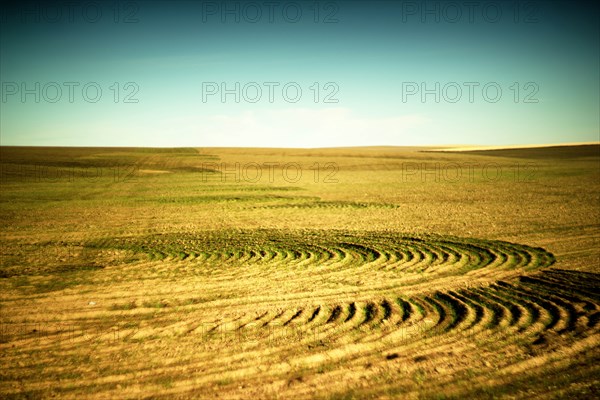 Crop Circles, Cultivated Landscape