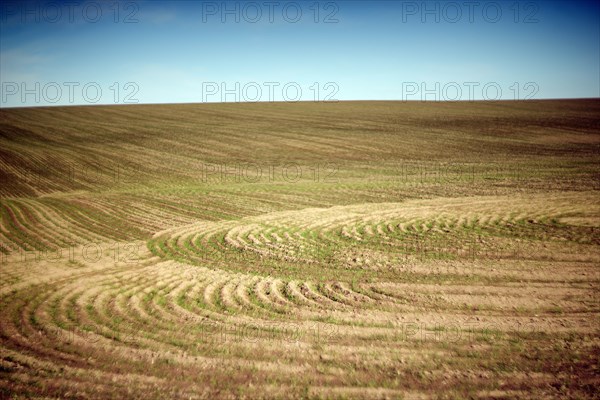 Crop Circles, Cultivated Landscape
