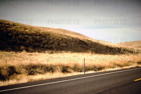 Paved Highway along Golden Hillside