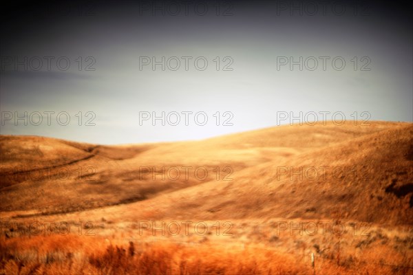 Rolling Hillside, Painterly Effect