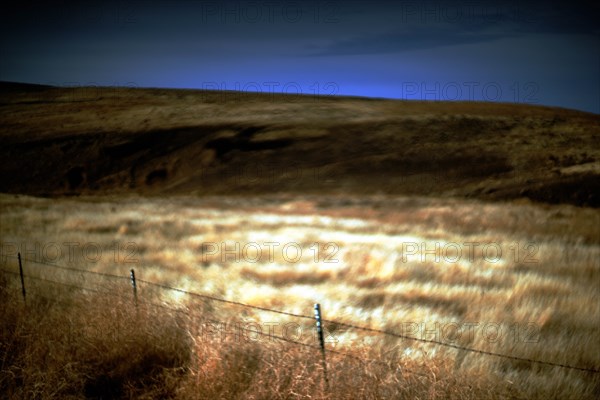 Fenced Rural Landscape, Illuminated Meadow