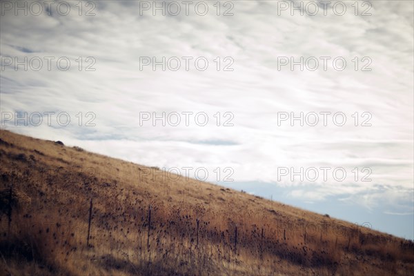 Rural Hillside and Landscape