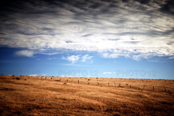 Fenced Rural Landscape with Cloudscape