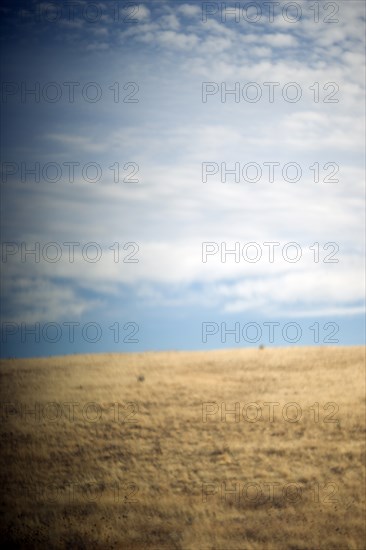 Rural Plains Landscape