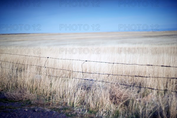 Weathered Barbed Wire Fence