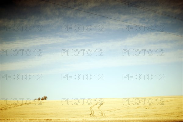 imprints from Vehicle through Agricultural Landscape