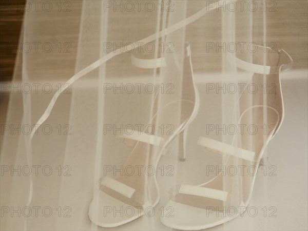 Wedding Veil and Shoes