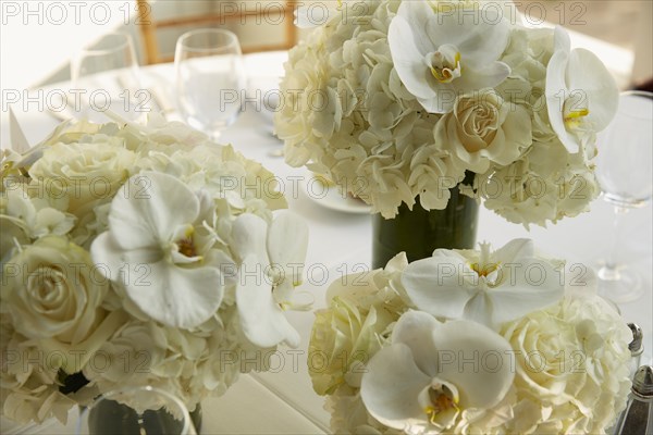 Vases of White Flowers on Wedding Reception Table
