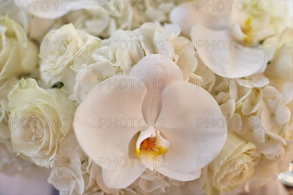 Wedding Bouquet of White Orchids and Roses, Close-up