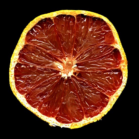 Pink Grapefruit Slice on Black Background