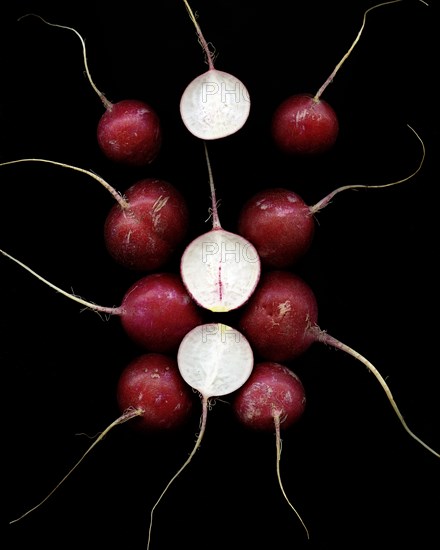 Radishes on Black Background