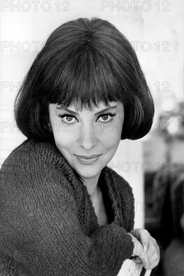 Actress Gina Lollabrigida, Publicity Portrait, UPI Telephoto, 1964