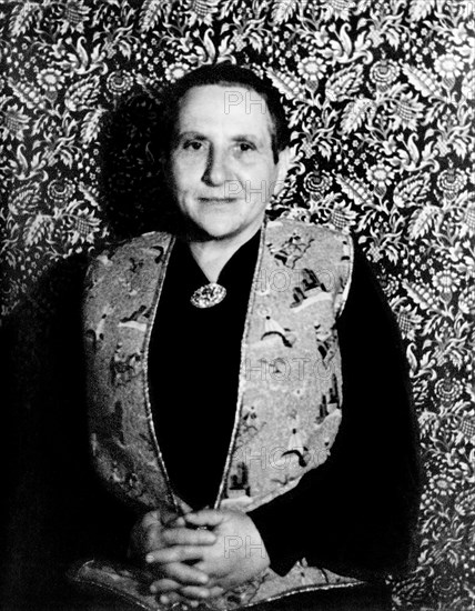 Gertrude Stein, woman, literature, historical, arts & culture,