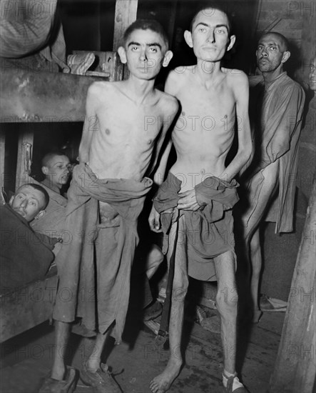 concentration camp, man, World War II, WWII, historical,