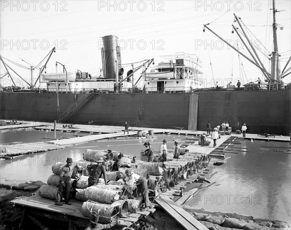 Steamer loading hides