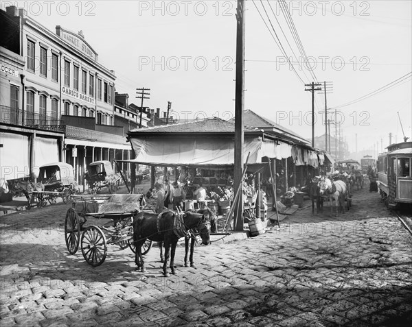 French Market