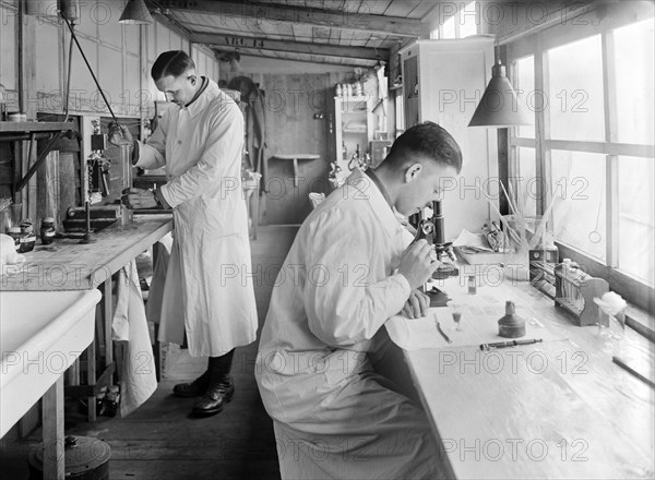 Two American Doctors Studying Bacteria of Trench Diseases and experimenting with new Antiseptic Solutions in Laboratory at American Red Cross Military Hospital
