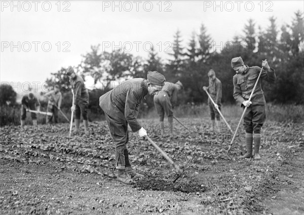 Convalescent American Soldiers at work in American Red Cross Garden